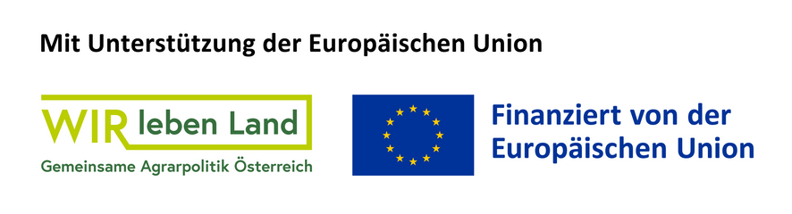 Alfred Fischer Weinshop